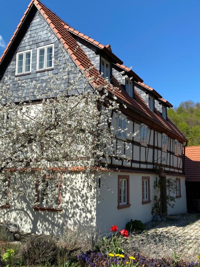 Dom Tkacza Apartment Pieszyce Bagian luar foto
