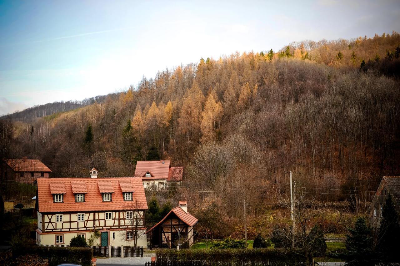 Dom Tkacza Apartment Pieszyce Bagian luar foto